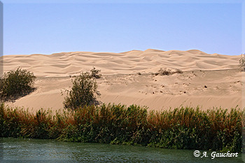 Wasser und Sand